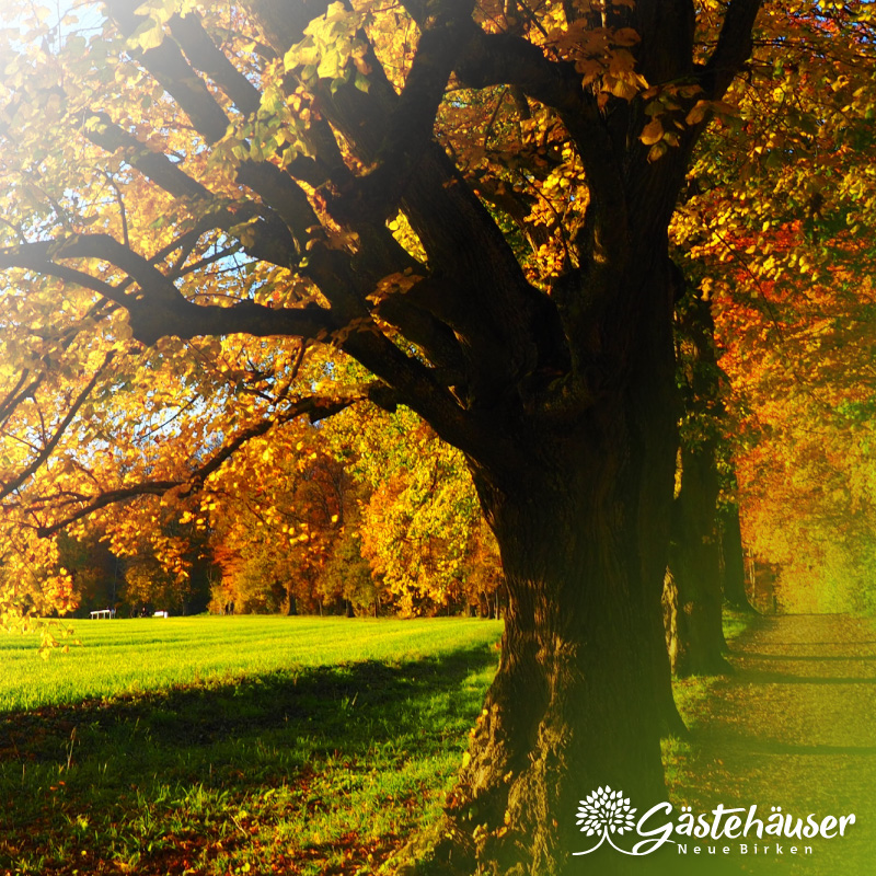 Gästehaus Außenansicht